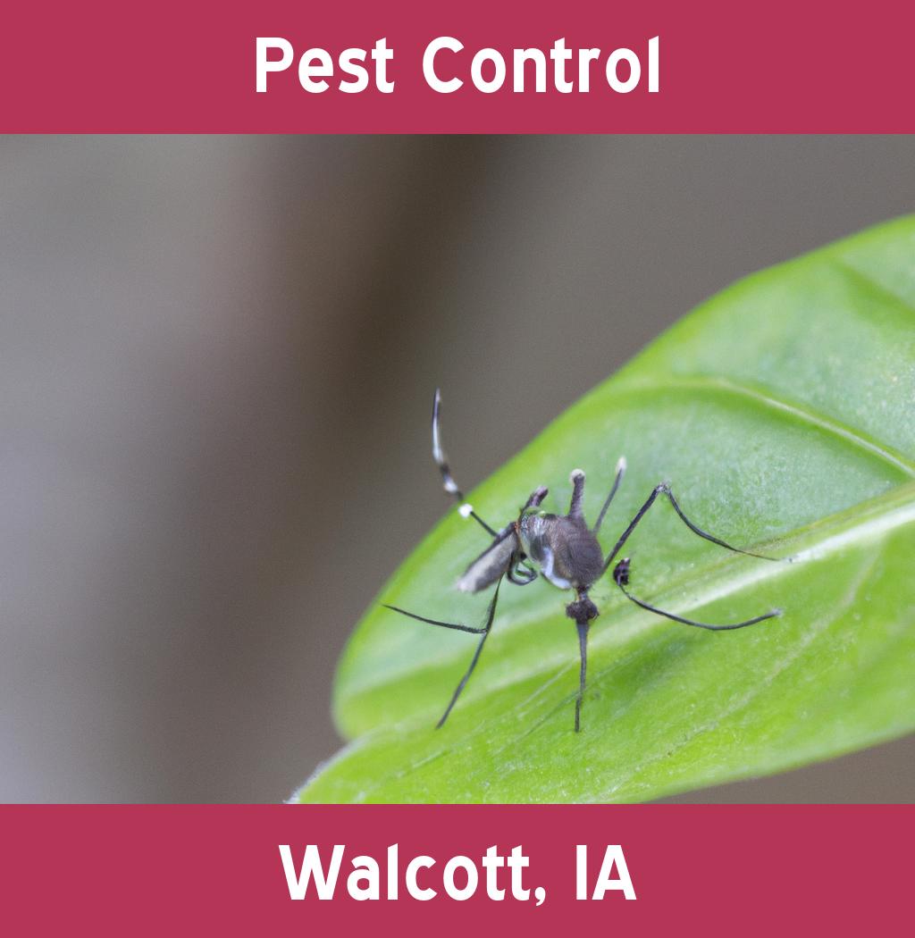 pest control in Walcott Iowa