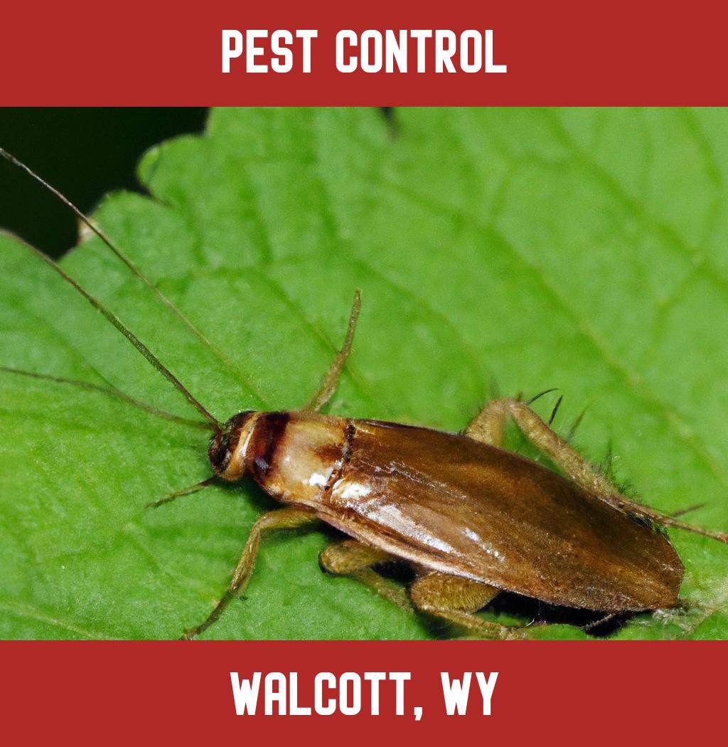 pest control in Walcott Wyoming