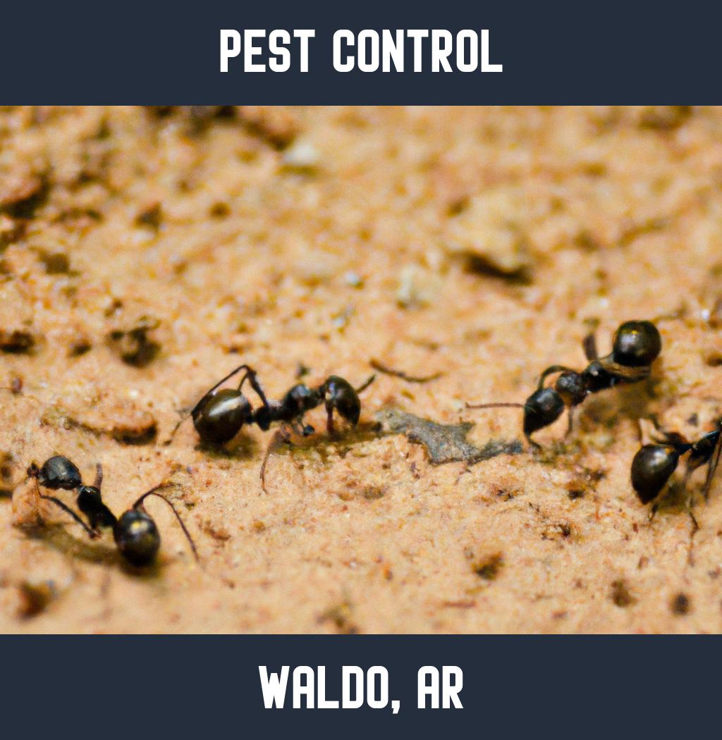pest control in Waldo Arkansas