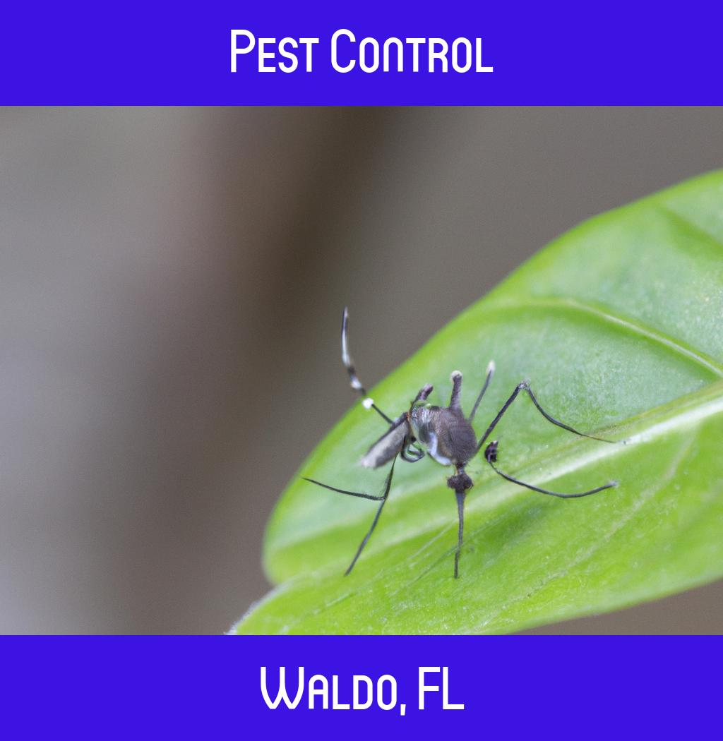 pest control in Waldo Florida