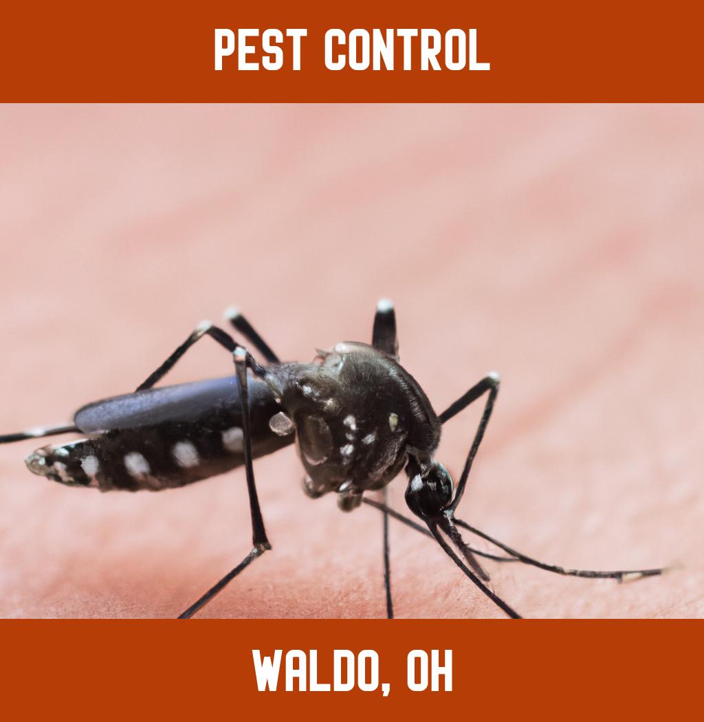 pest control in Waldo Ohio