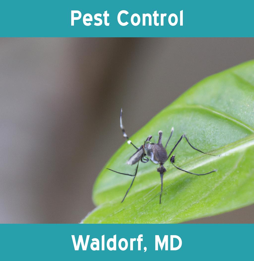 pest control in Waldorf Maryland