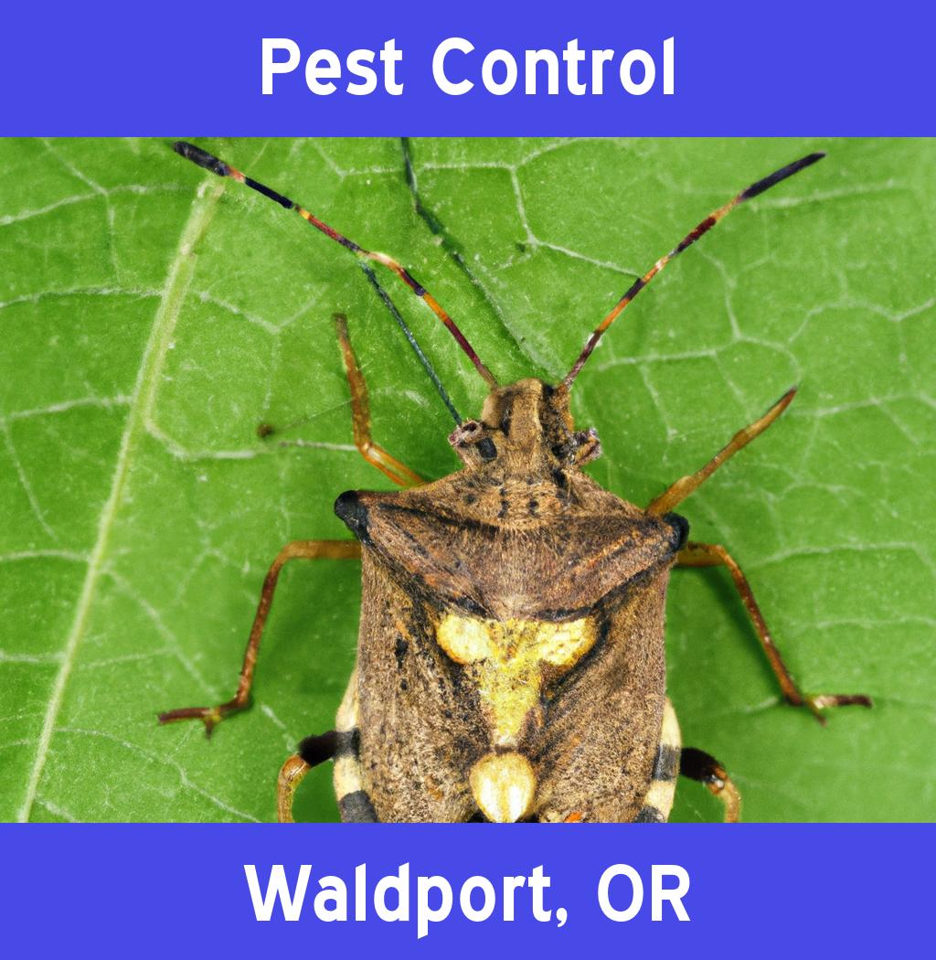 pest control in Waldport Oregon