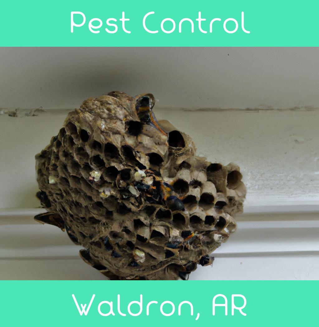 pest control in Waldron Arkansas