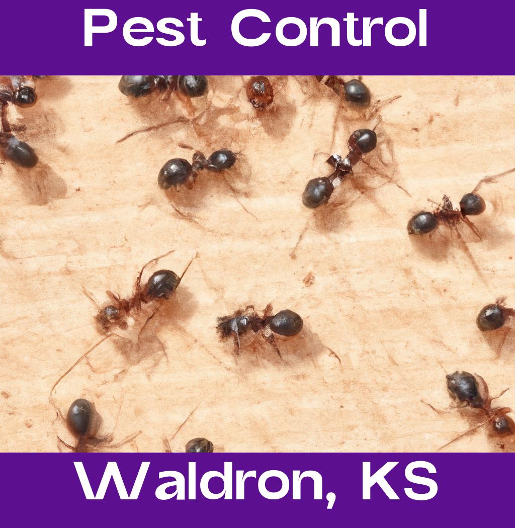 pest control in Waldron Kansas