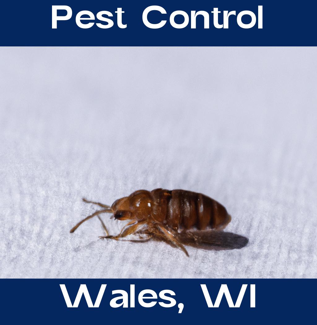 pest control in Wales Wisconsin