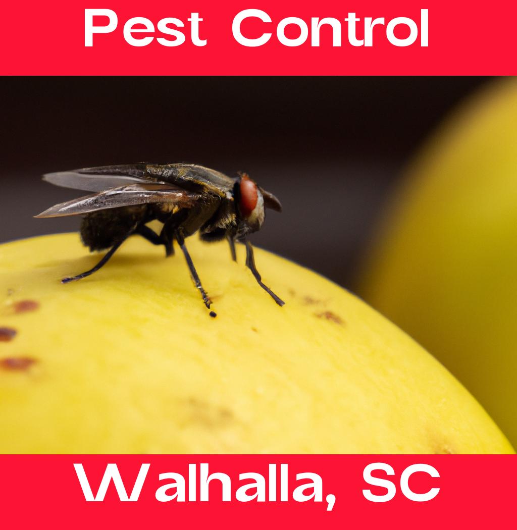 pest control in Walhalla South Carolina