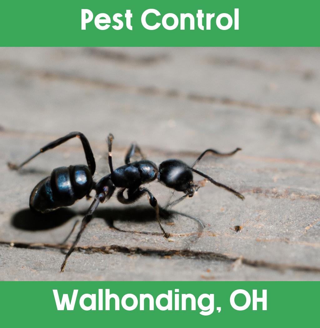 pest control in Walhonding Ohio