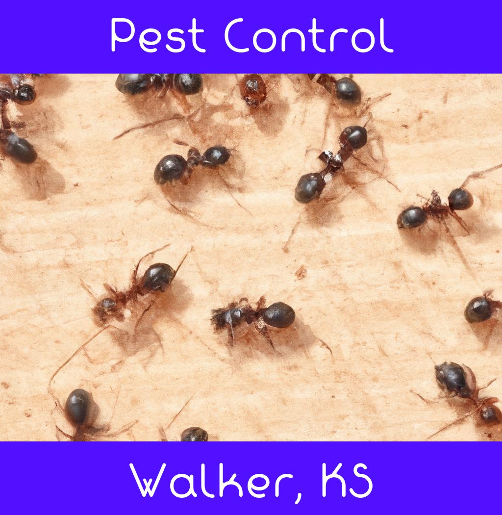pest control in Walker Kansas