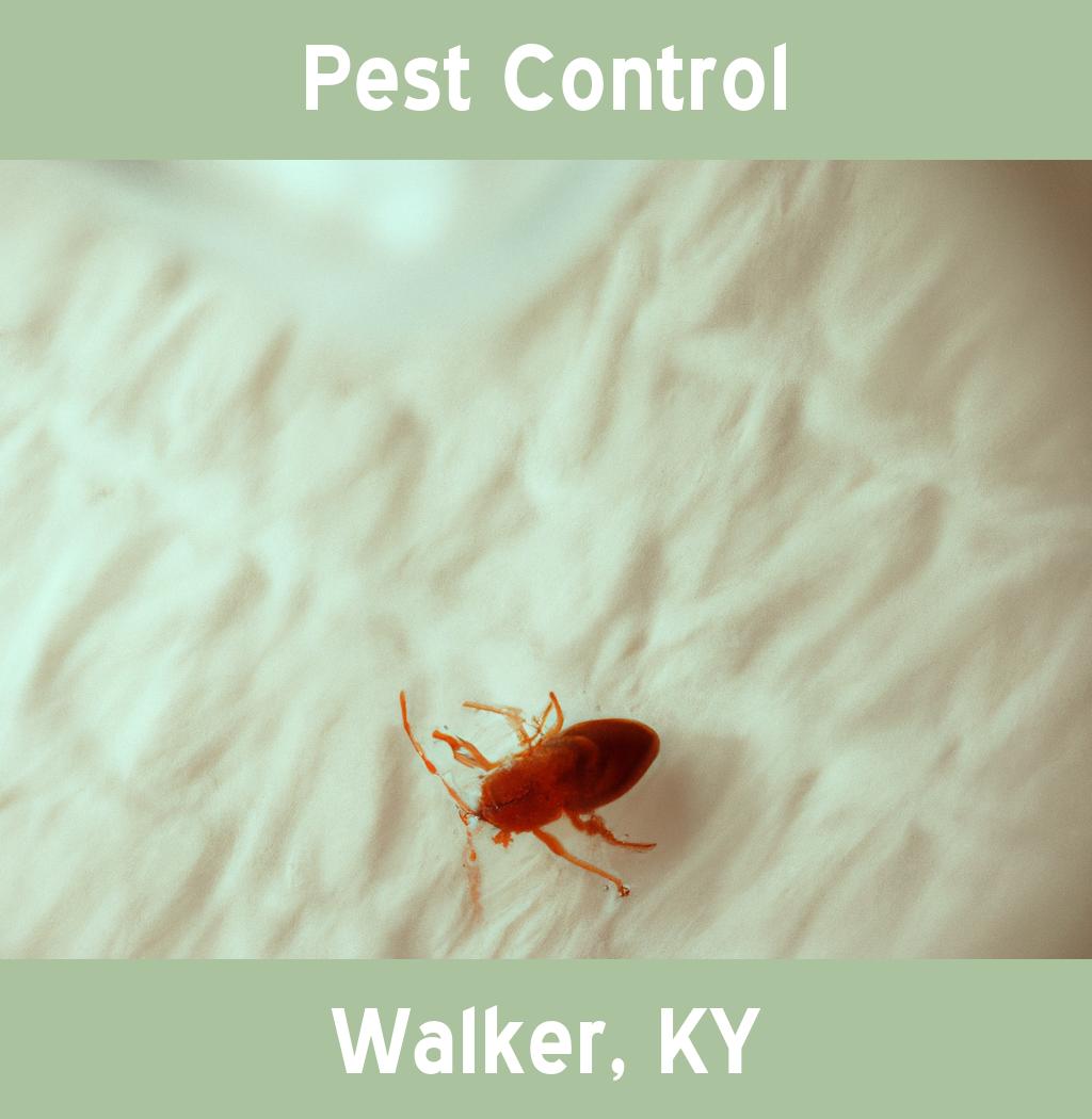 pest control in Walker Kentucky