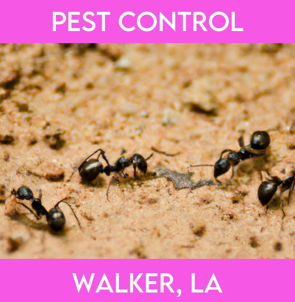 pest control in Walker Louisiana