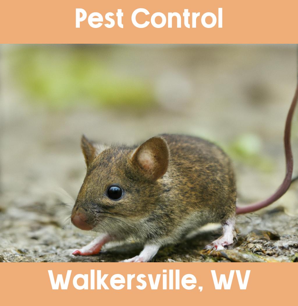 pest control in Walkersville West Virginia
