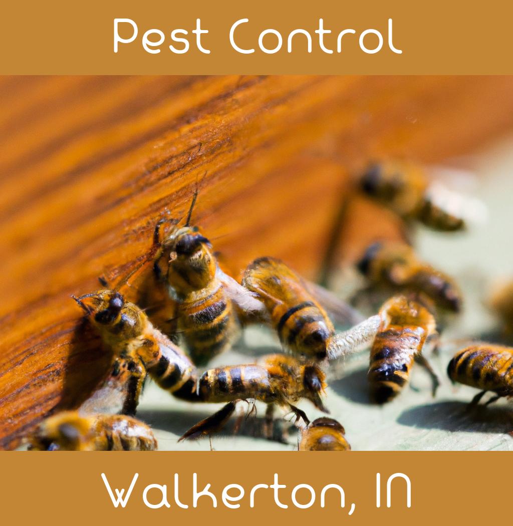 pest control in Walkerton Indiana