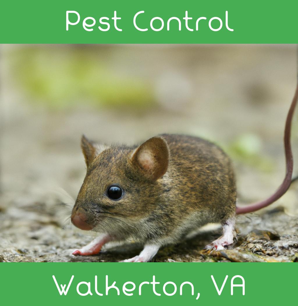 pest control in Walkerton Virginia