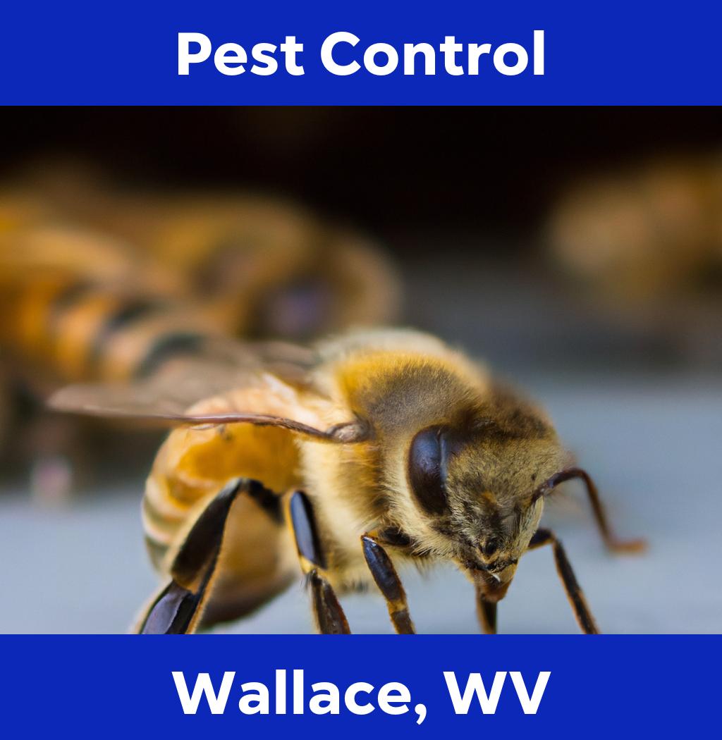 pest control in Wallace West Virginia