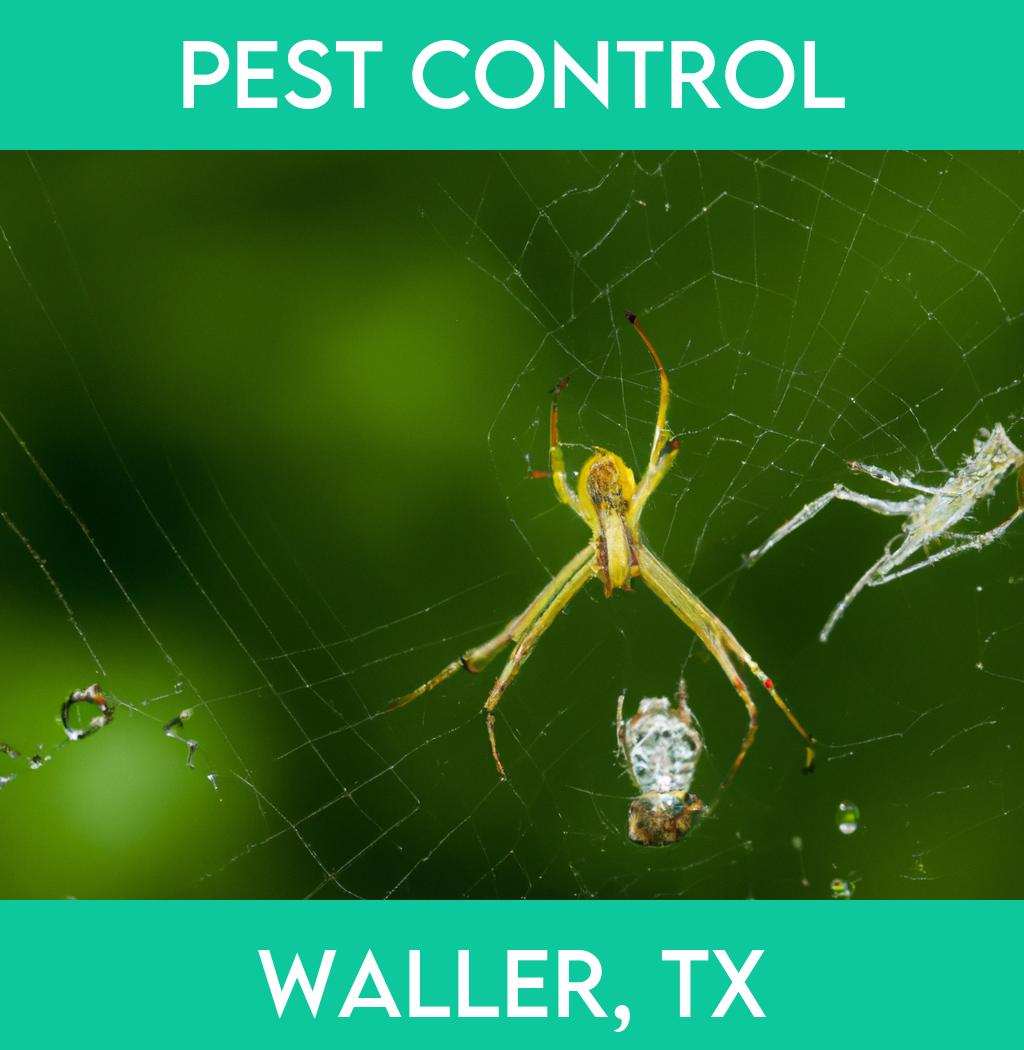 pest control in Waller Texas
