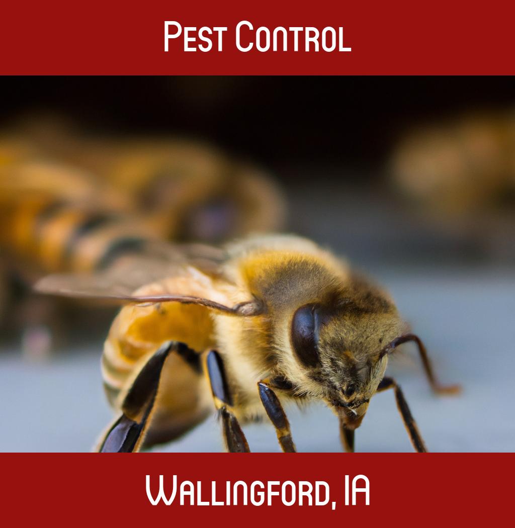 pest control in Wallingford Iowa