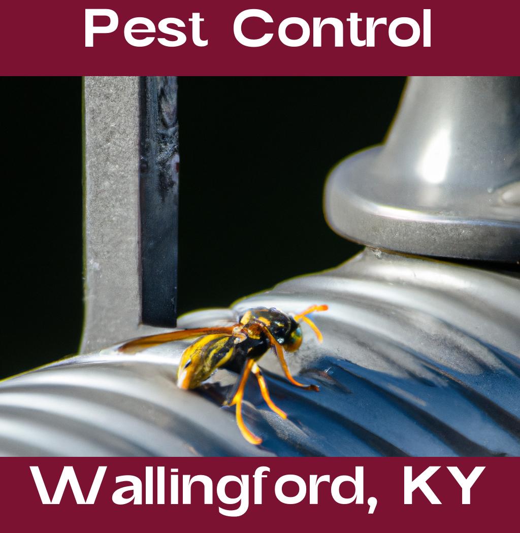 pest control in Wallingford Kentucky