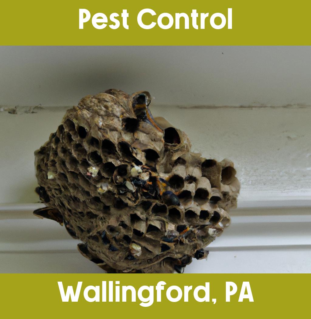 pest control in Wallingford Pennsylvania