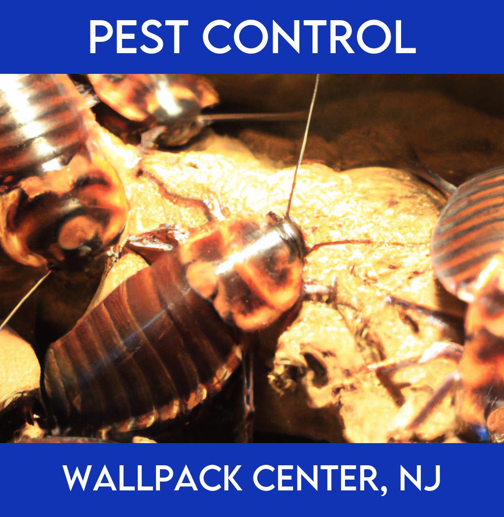 pest control in Wallpack Center New Jersey