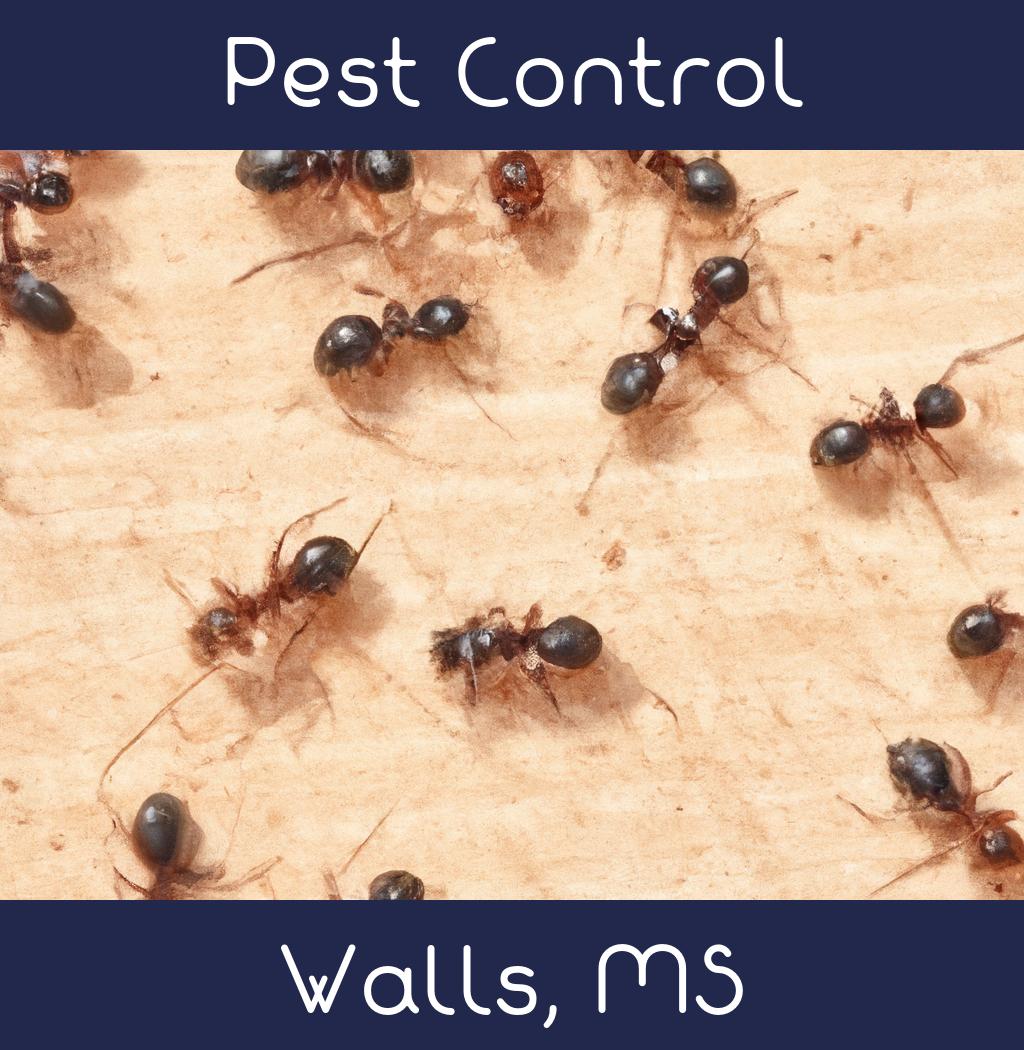 pest control in Walls Mississippi