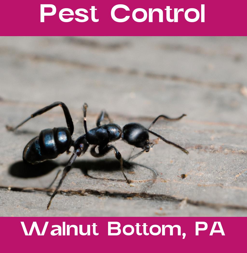 pest control in Walnut Bottom Pennsylvania