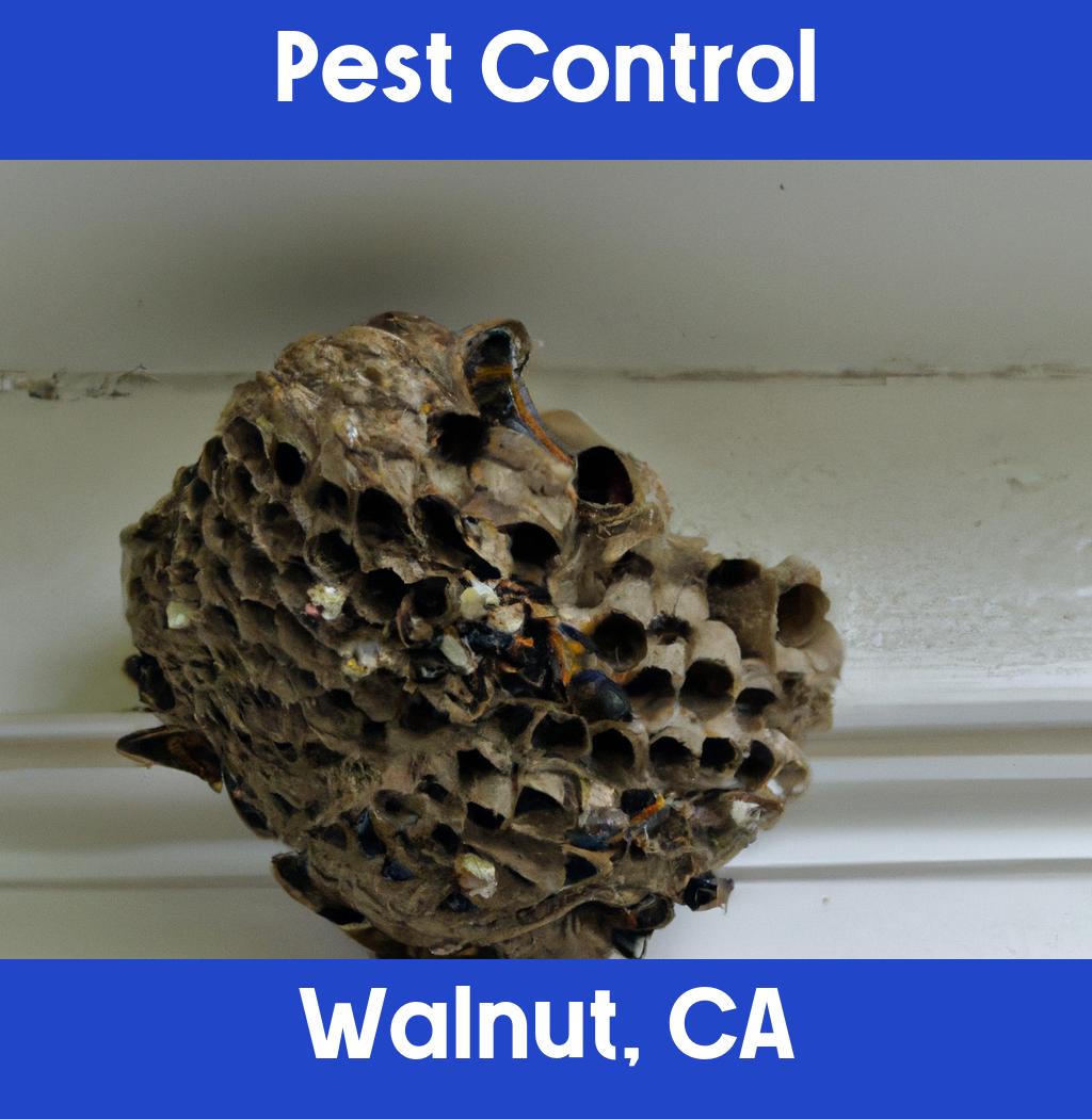 pest control in Walnut California