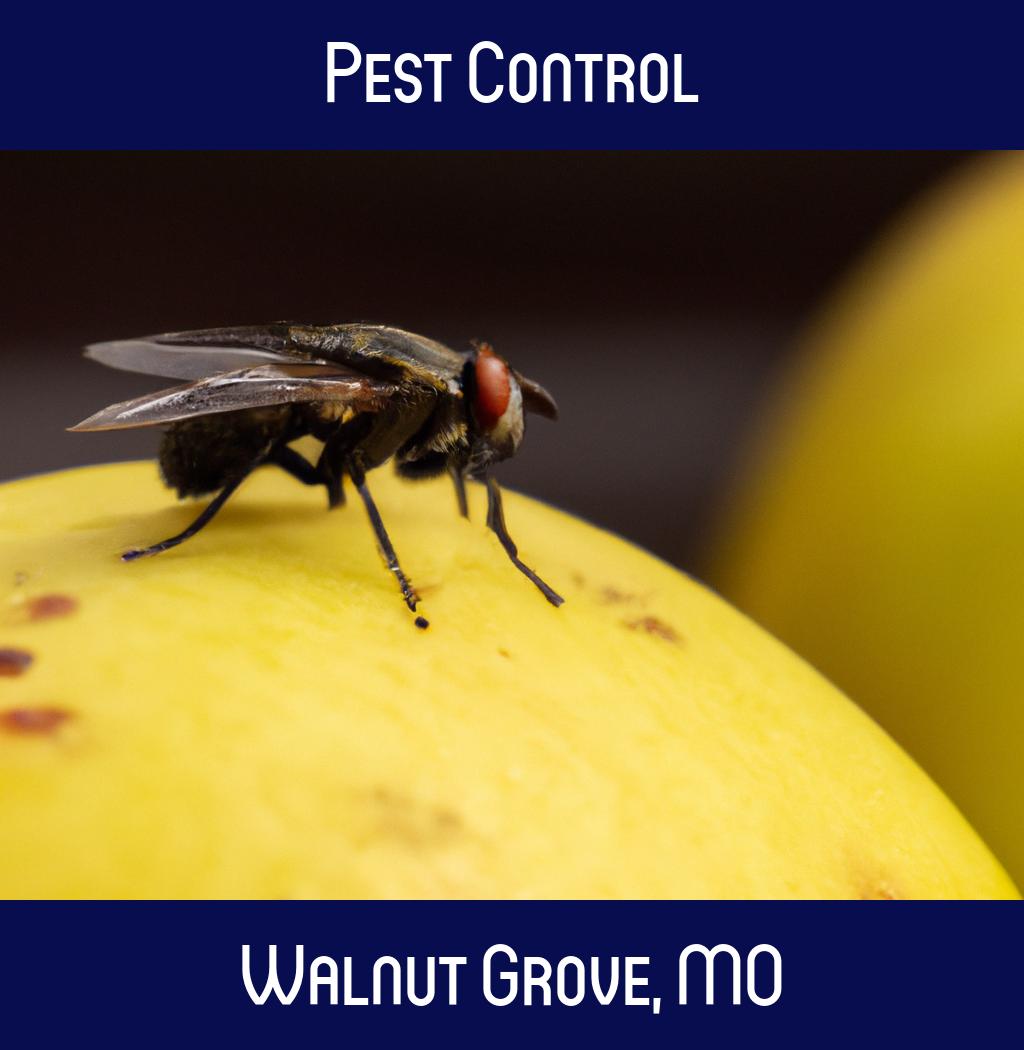 pest control in Walnut Grove Missouri