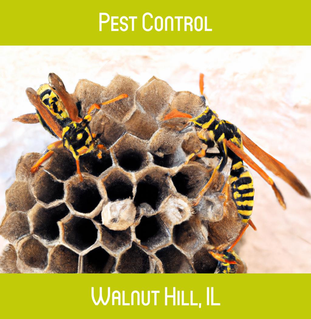 pest control in Walnut Hill Illinois