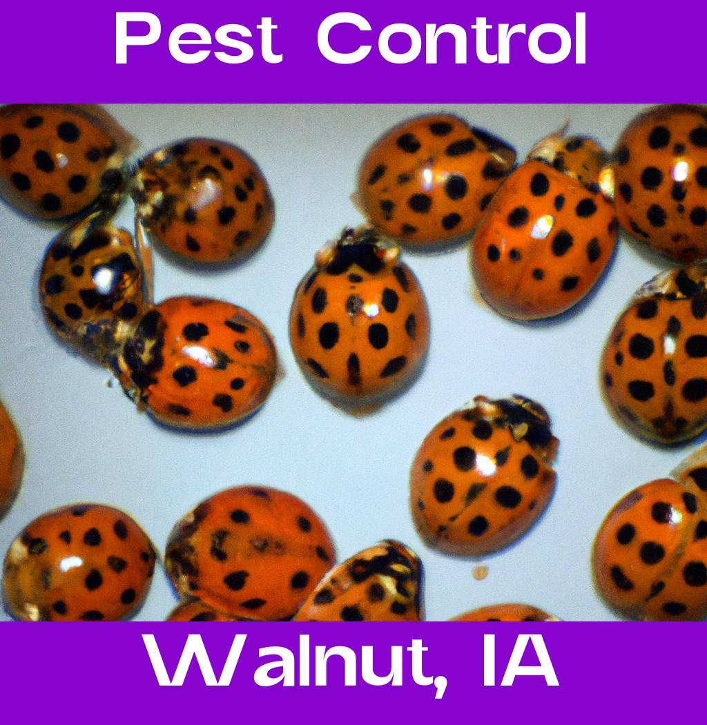 pest control in Walnut Iowa