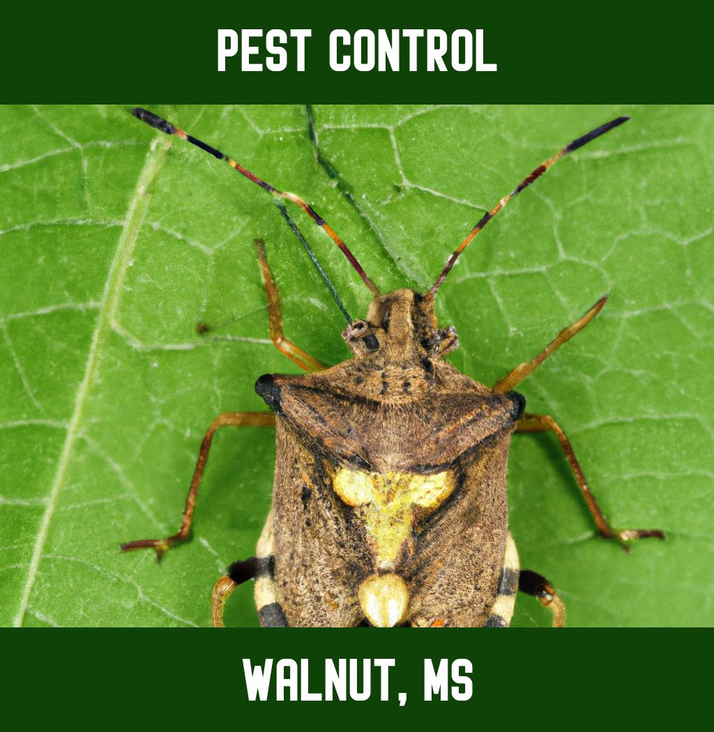 pest control in Walnut Mississippi