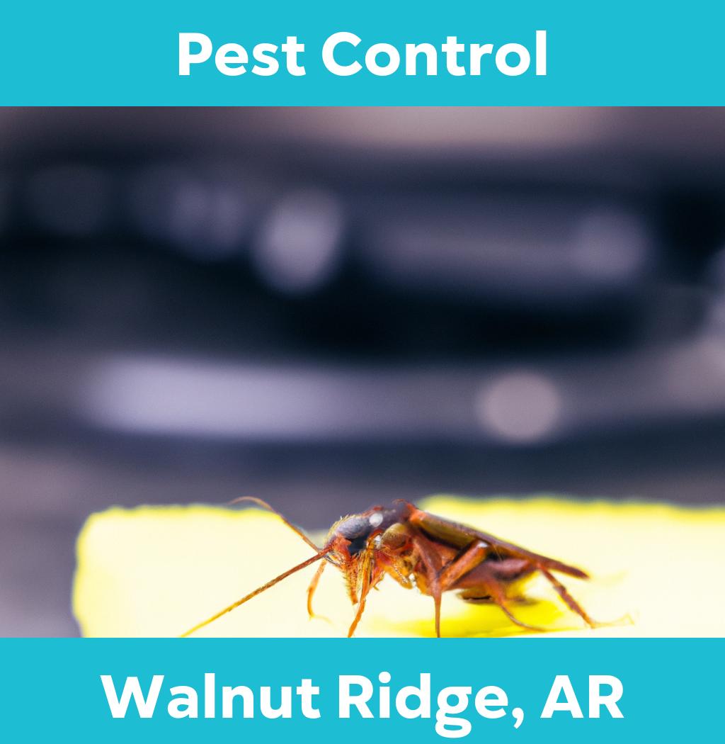 pest control in Walnut Ridge Arkansas
