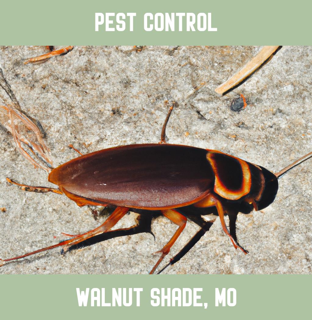 pest control in Walnut Shade Missouri