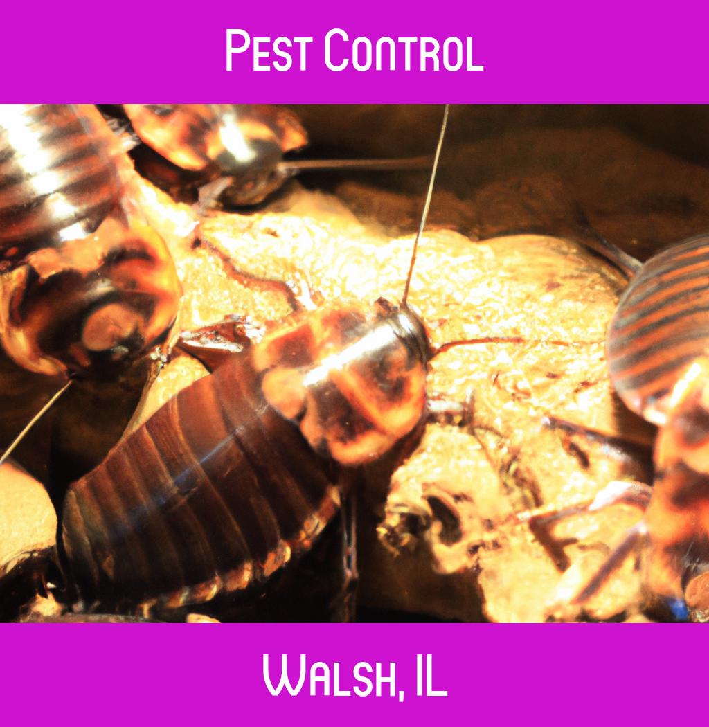 pest control in Walsh Illinois