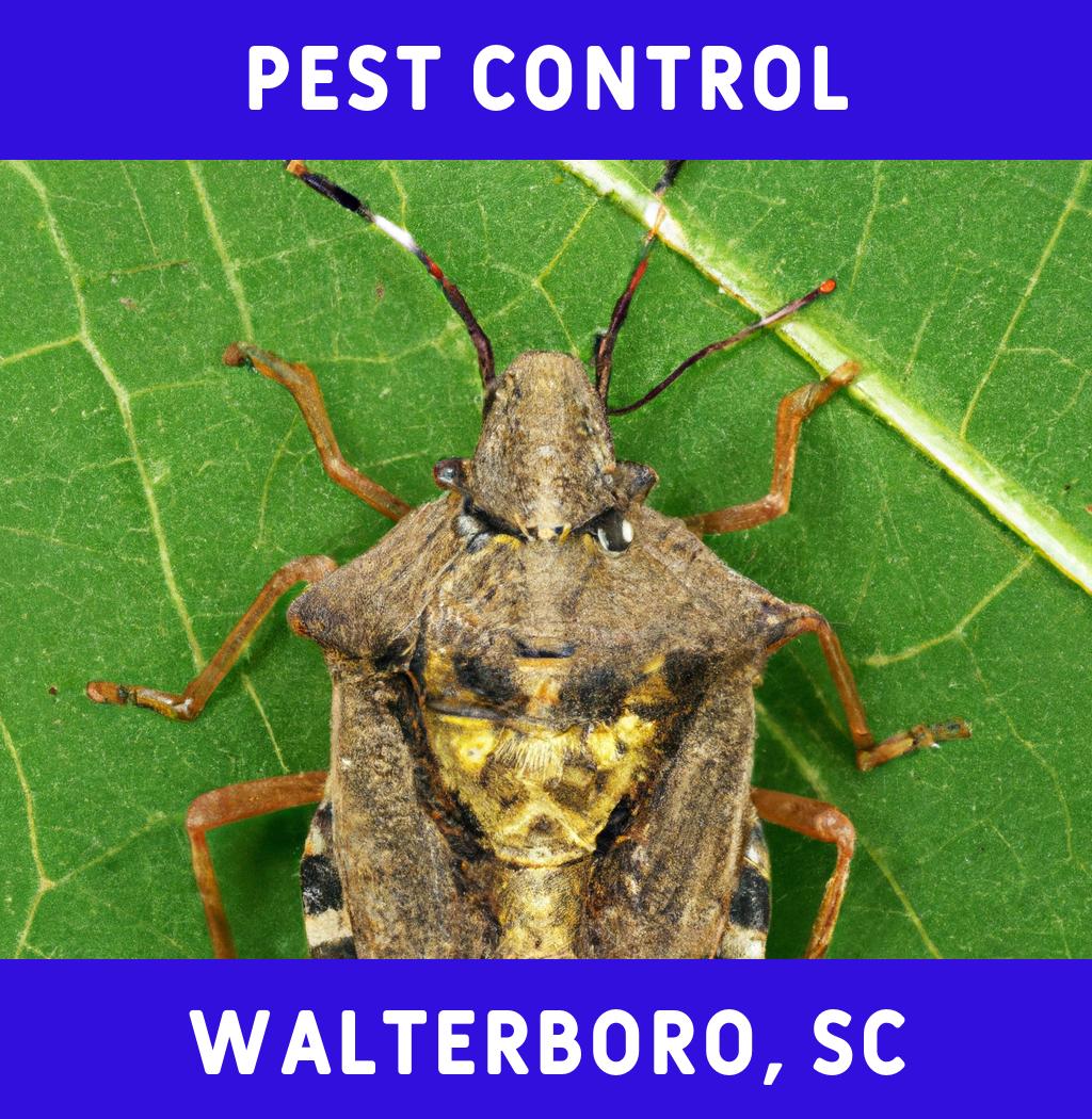 pest control in Walterboro South Carolina