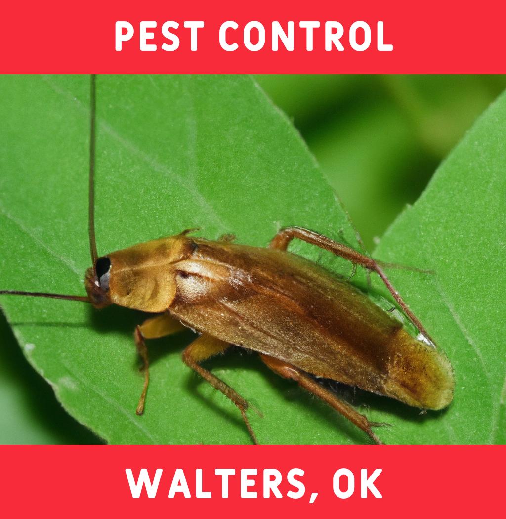 pest control in Walters Oklahoma