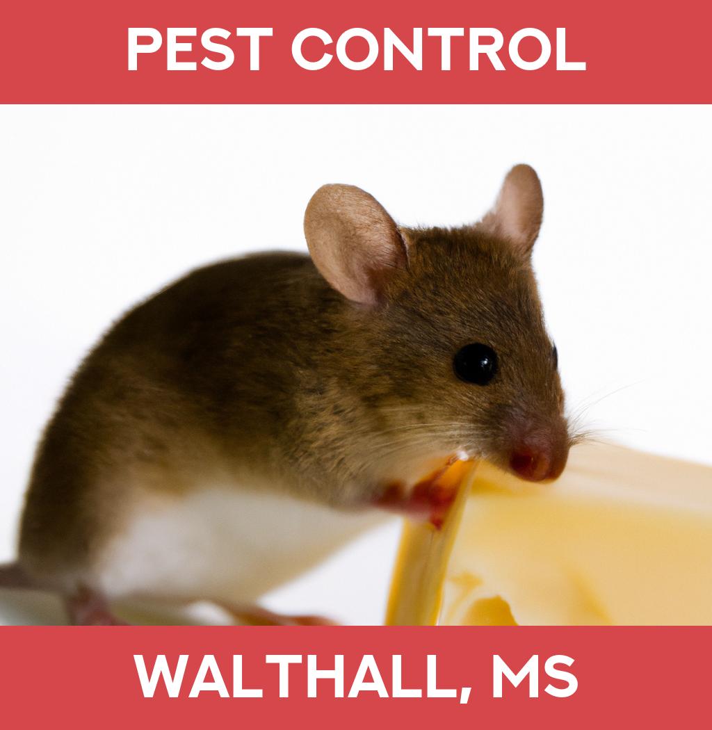 pest control in Walthall Mississippi