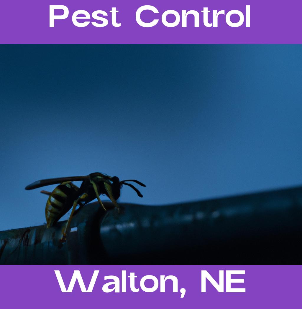 pest control in Walton Nebraska