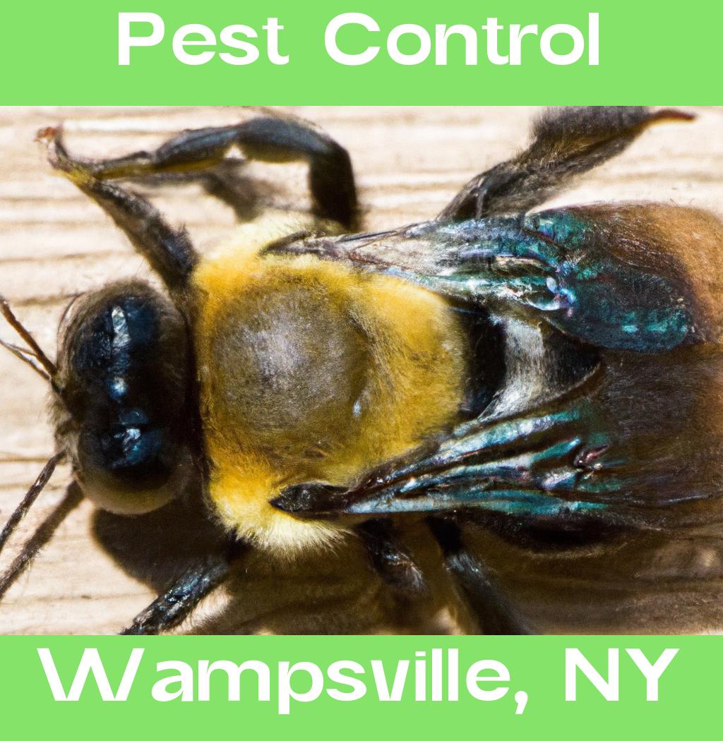 pest control in Wampsville New York