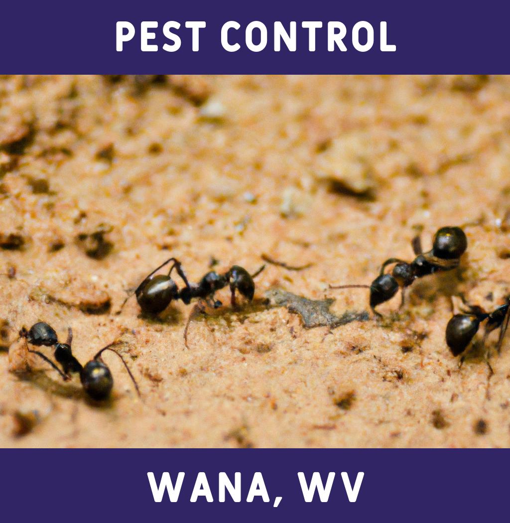 pest control in Wana West Virginia