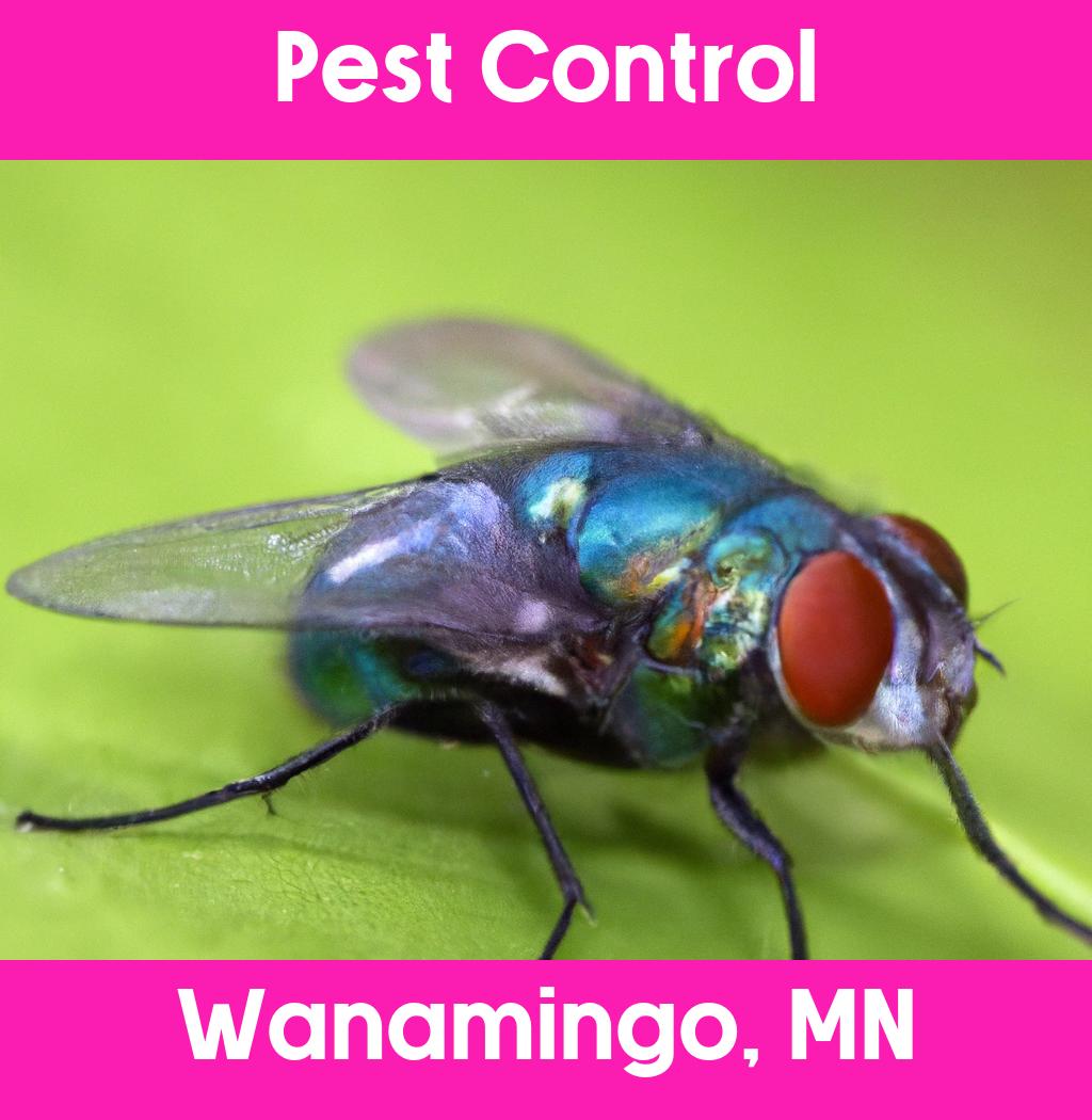 pest control in Wanamingo Minnesota