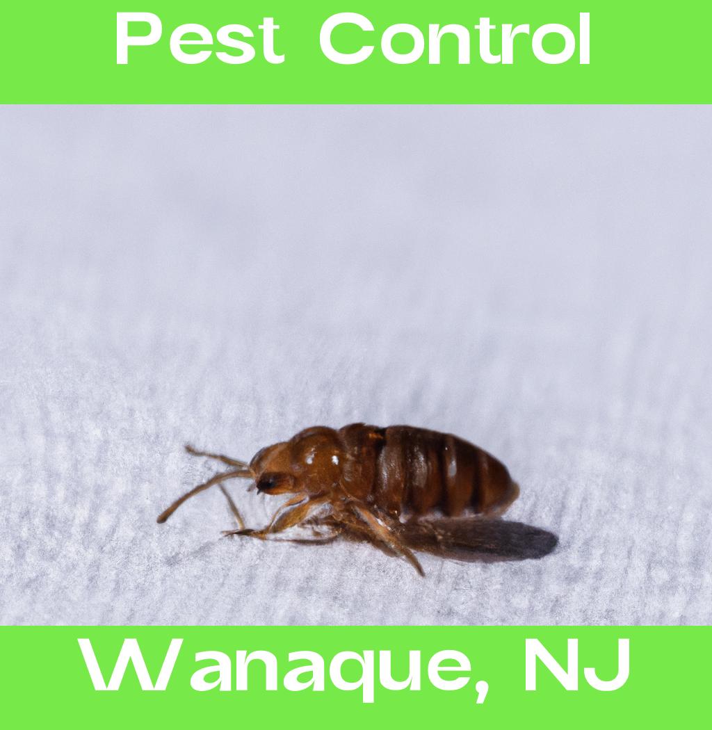 pest control in Wanaque New Jersey