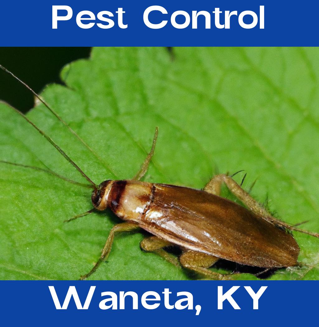 pest control in Waneta Kentucky
