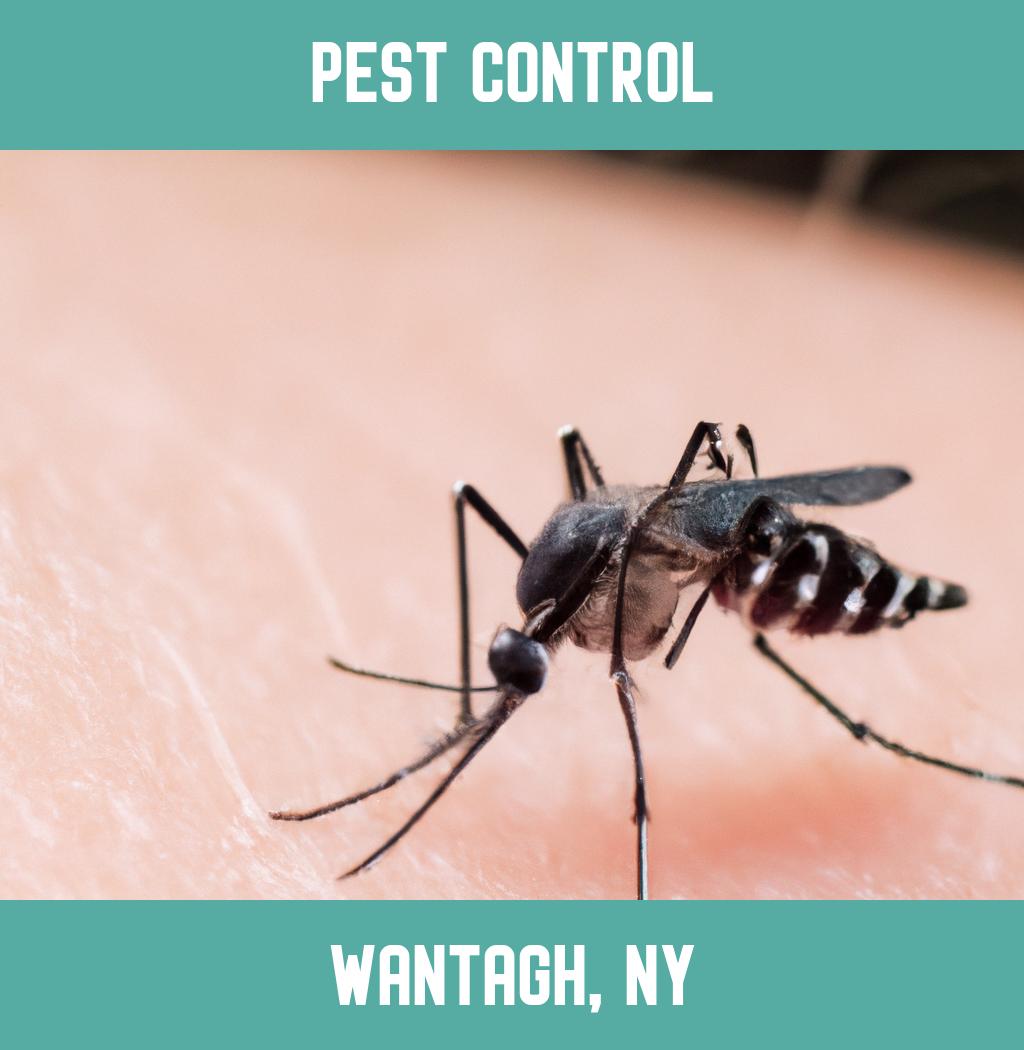 pest control in Wantagh New York