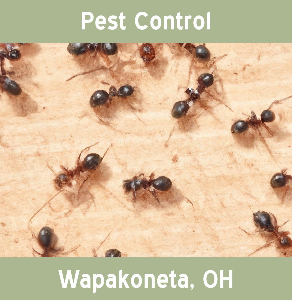 pest control in Wapakoneta Ohio