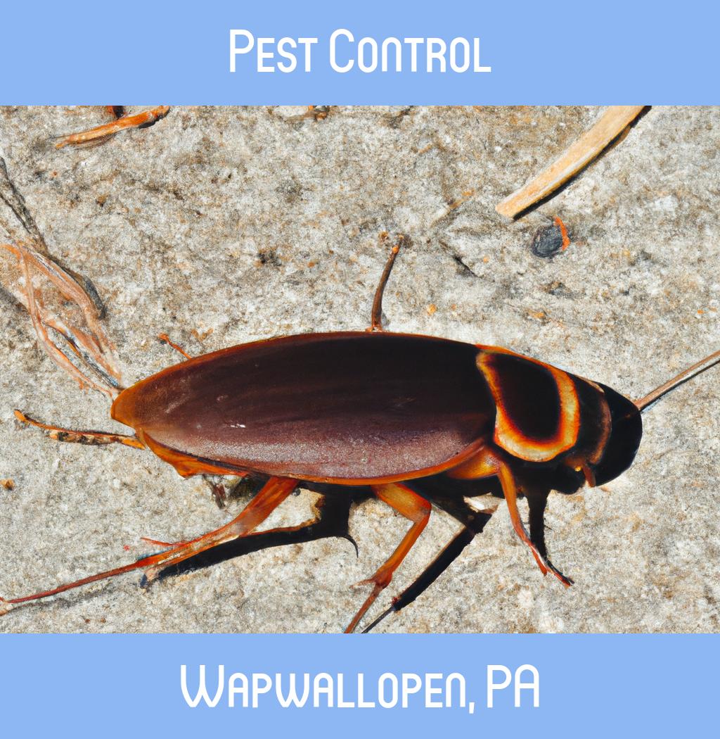 pest control in Wapwallopen Pennsylvania
