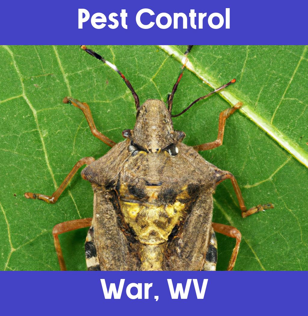 pest control in War West Virginia
