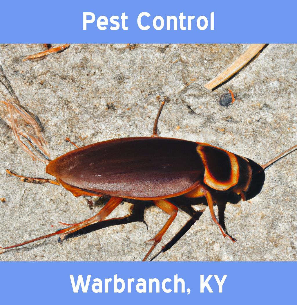 pest control in Warbranch Kentucky