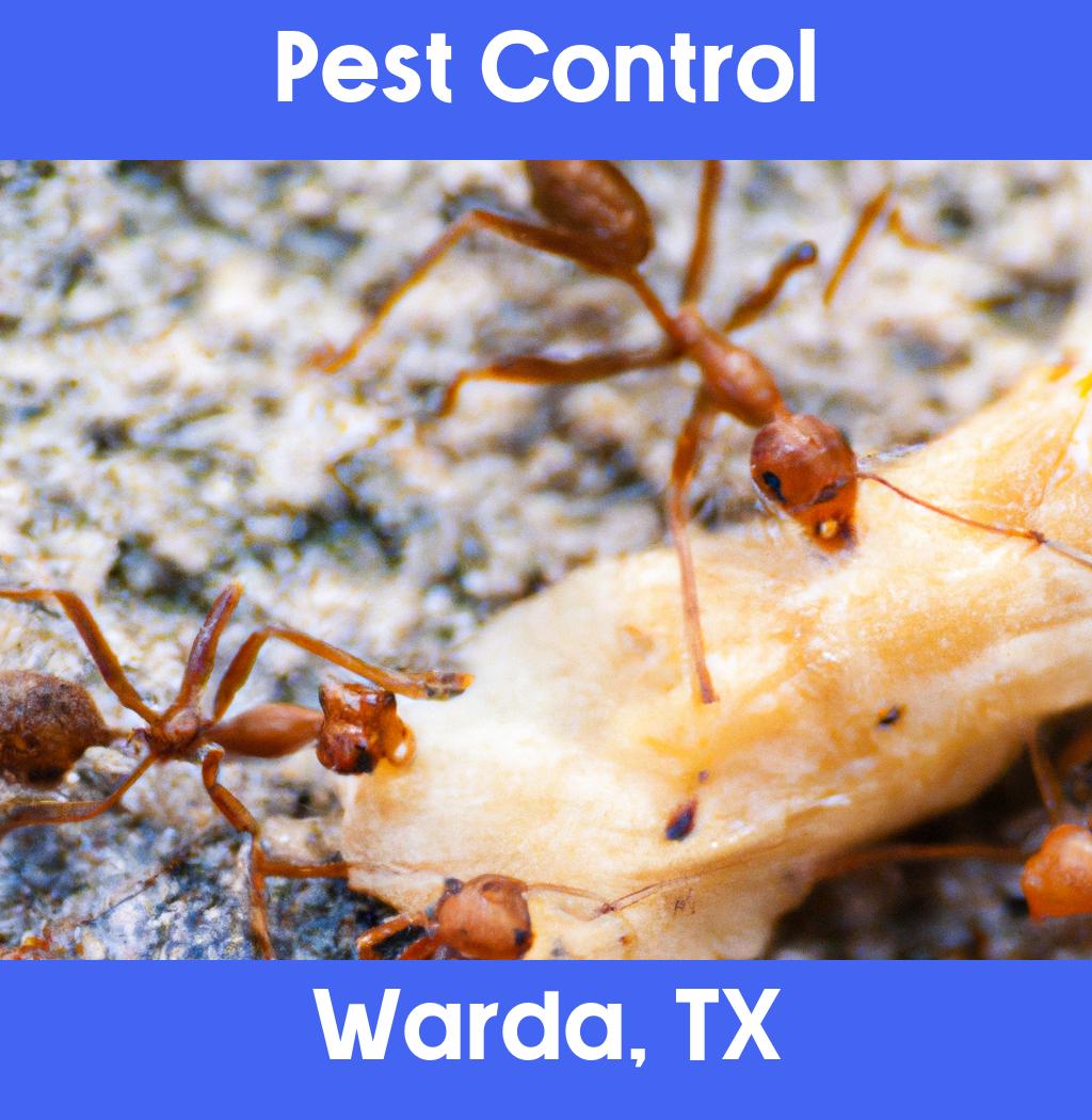 pest control in Warda Texas