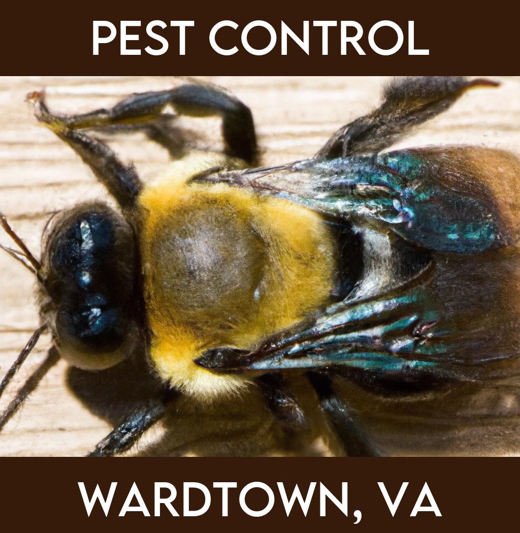 pest control in Wardtown Virginia